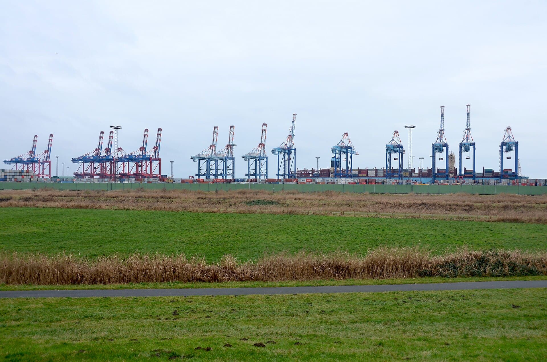 Container cranes lined across a terminal horizon beside open freight land.